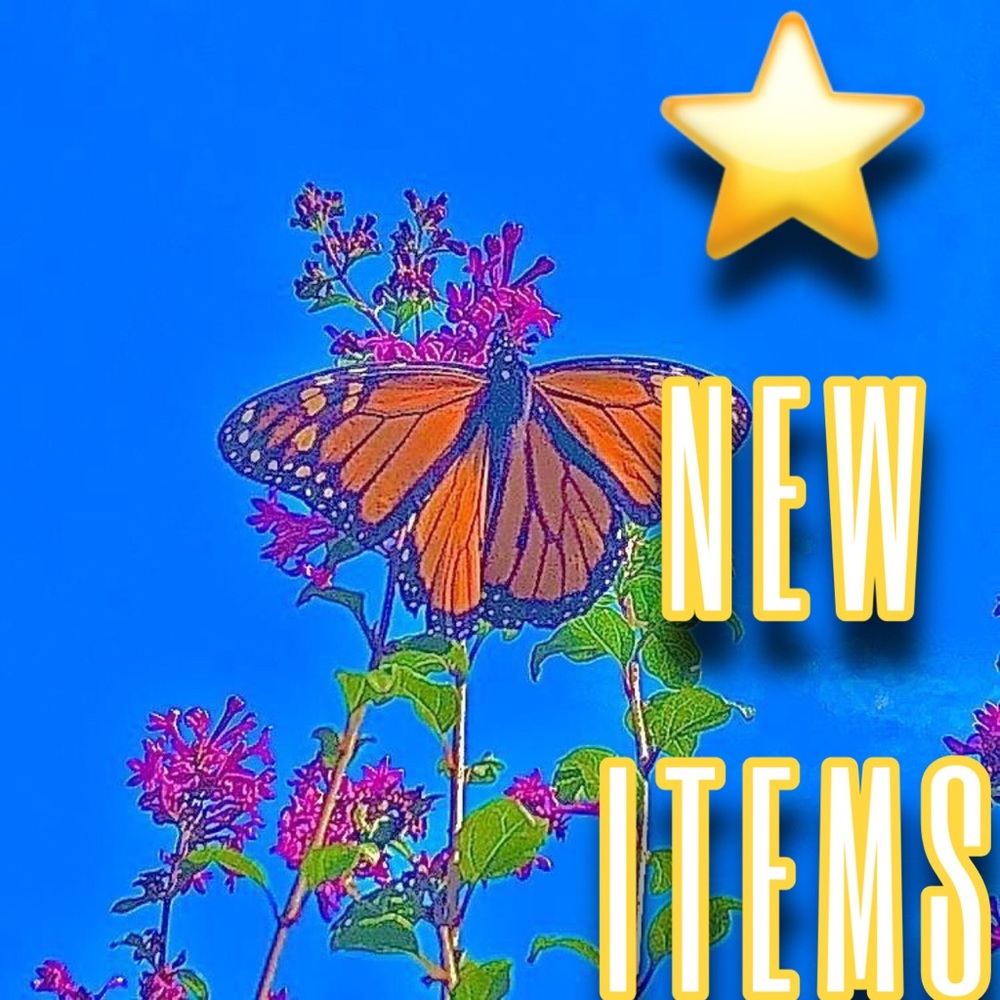 ⭐️NEW ITEMS ALERT